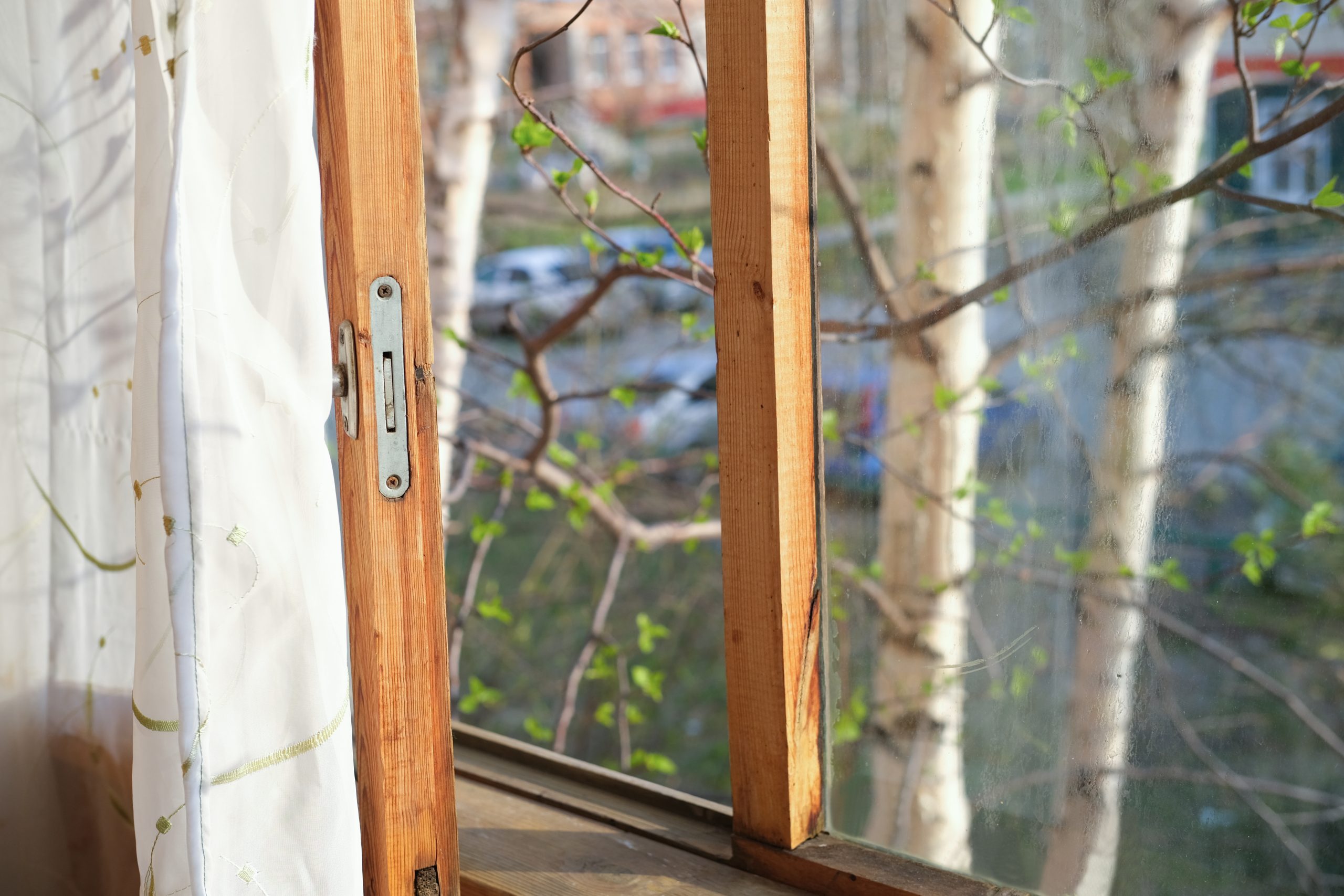 Как защитить деревянные окна от влаги и плесени